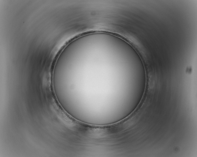 X0000112871280200909111524