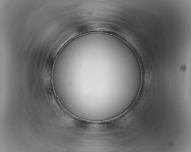 X0000112871281200909111524