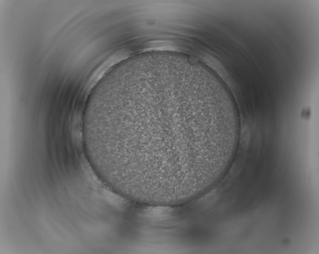 X0000112871282200909111524