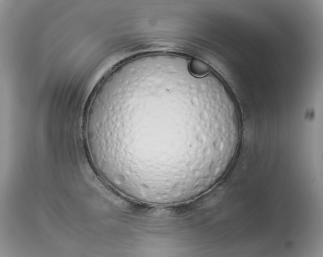 X0000112871283200909111524