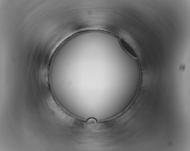 X0000112871284200909111524