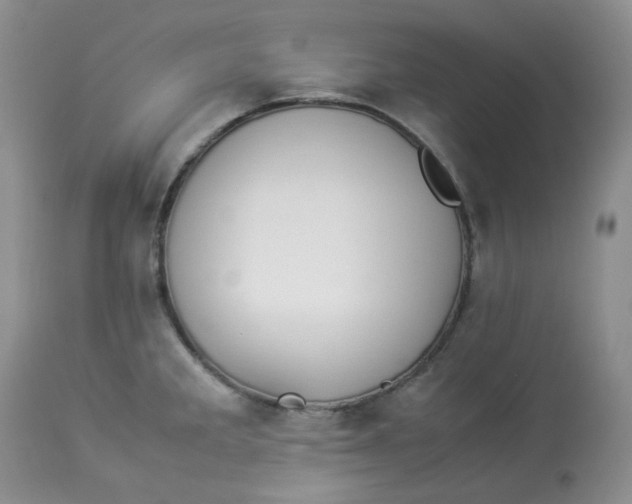 X0000112871285200909111524