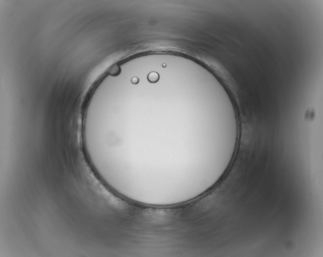 X0000112871286200909111524