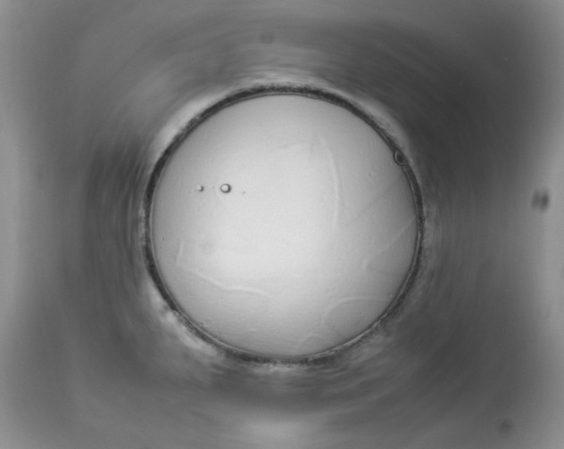 X0000112871287200909111524