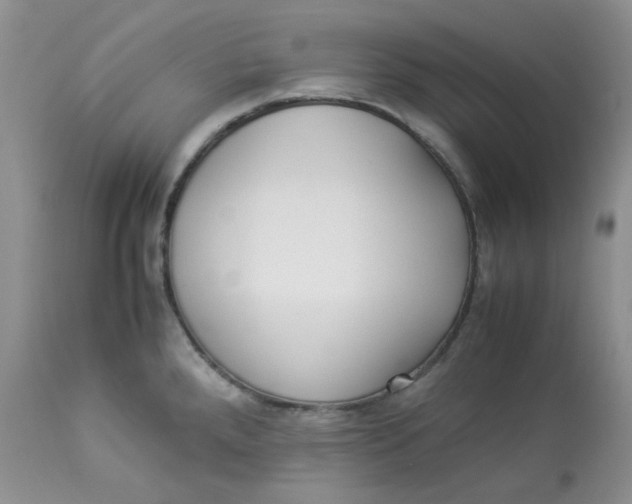 X0000112871288200909111524