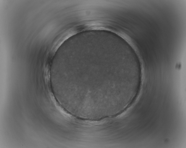 X0000112871289200909111524