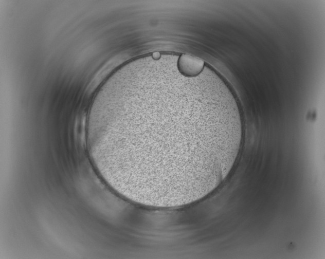 X0000112871290200909111524