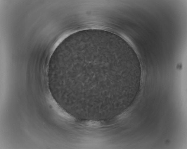 X0000112871291200909111524