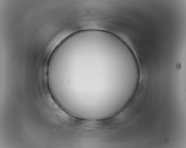 X0000112871293200909111524