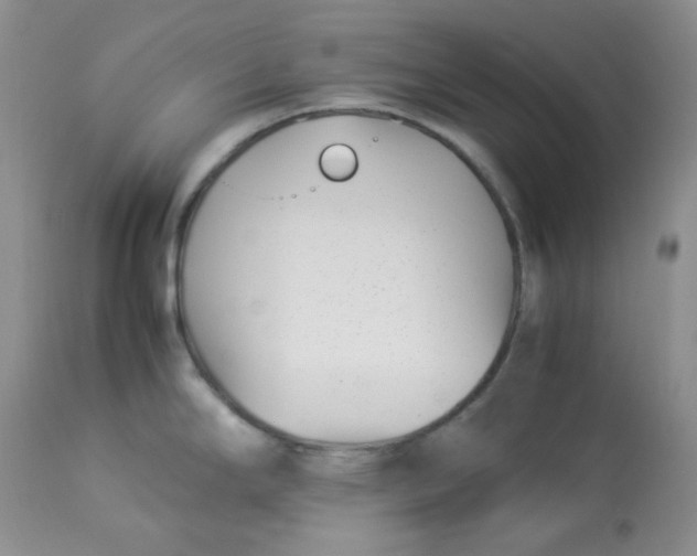 X0000112871294200909111524