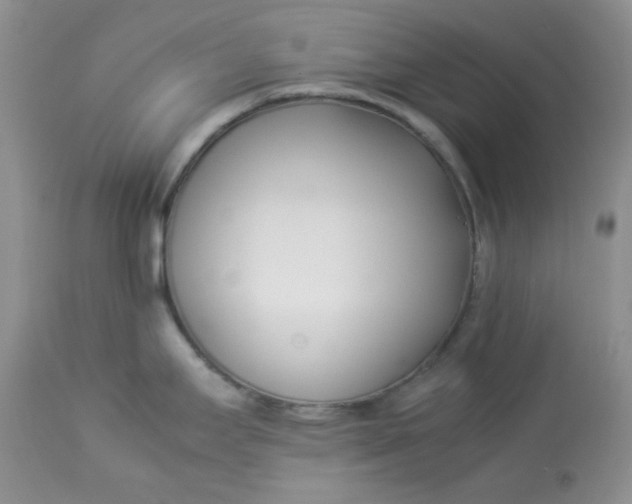 X0000112871295200909111524