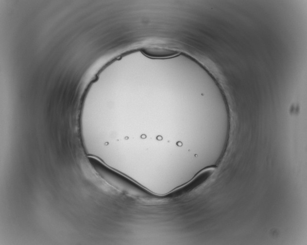 X0000112871296200909111524