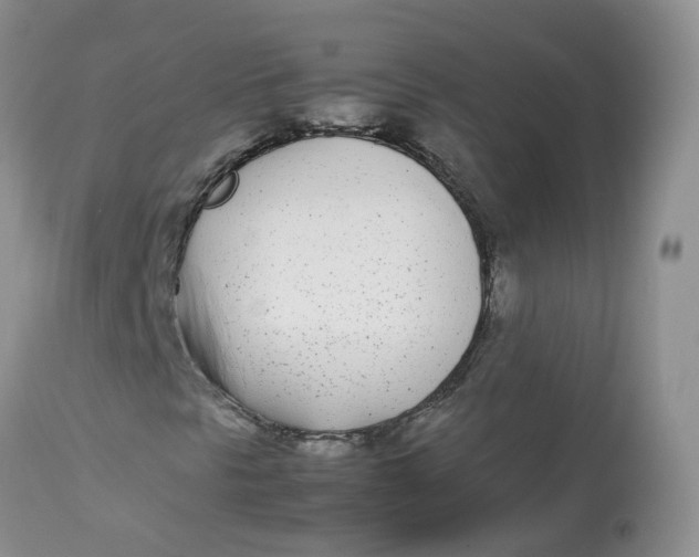 X0000112871297200909111523