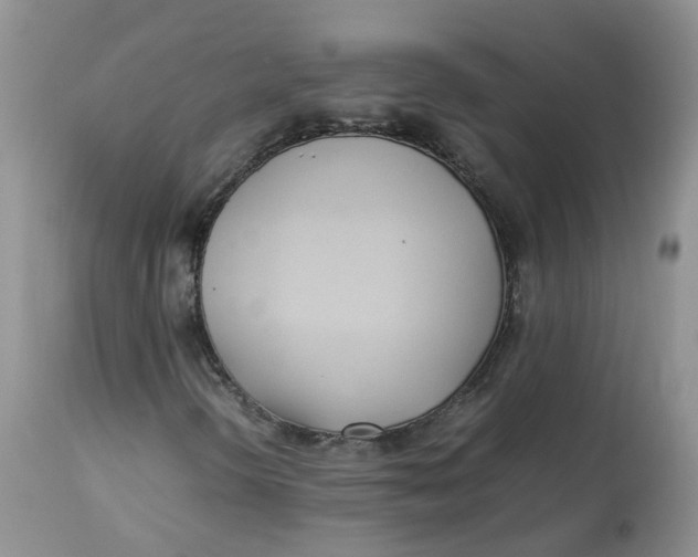 X0000112871298200909111523