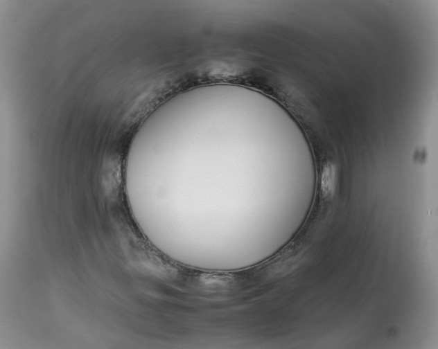 X0000112871299200909111523