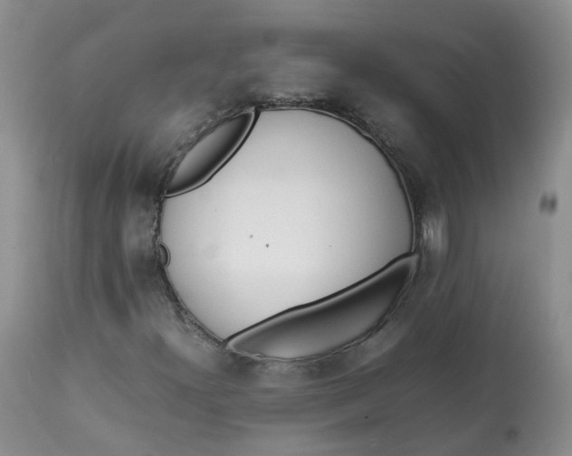 X0000112871300200909111523