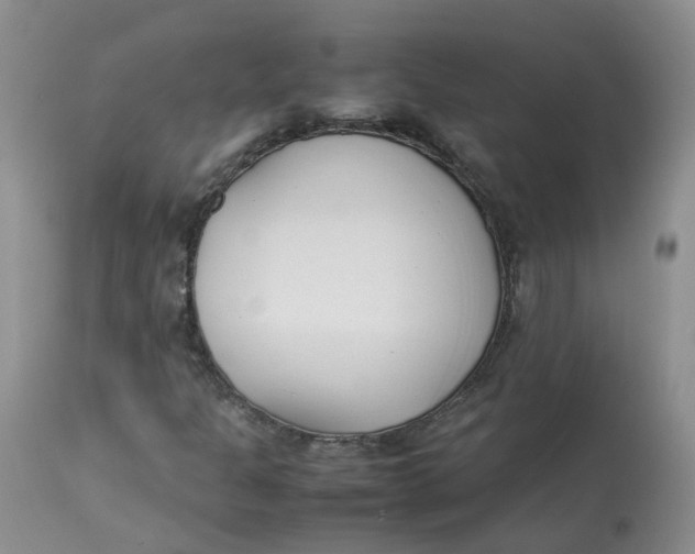 X0000112871301200909111523