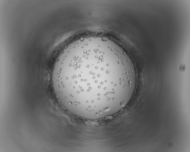 X0000112871302200909111523