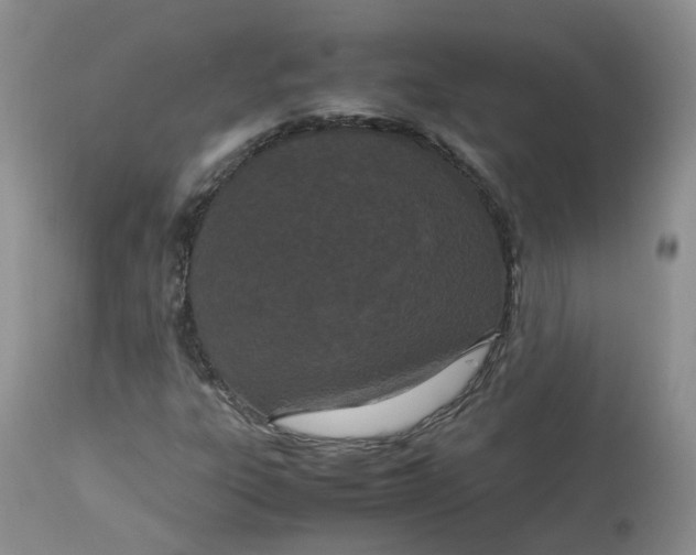 X0000112871303200909111523