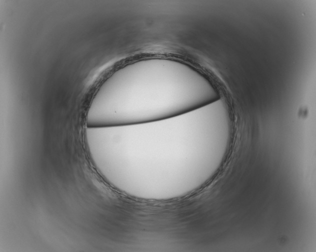 X0000112871304200909111523