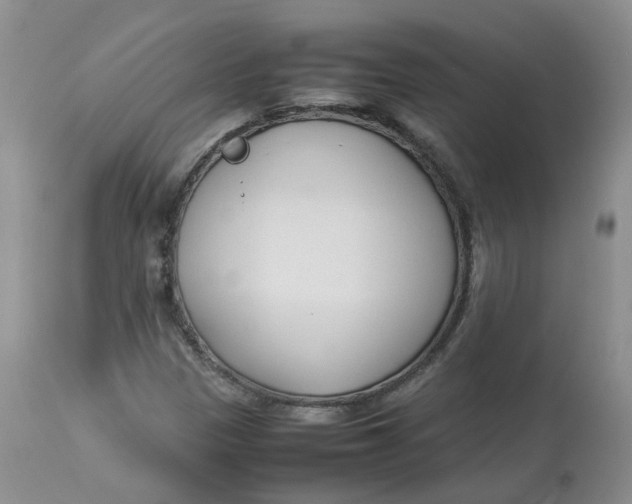 X0000112871305200909111523