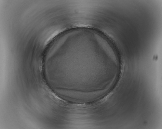 X0000112871306200909111523