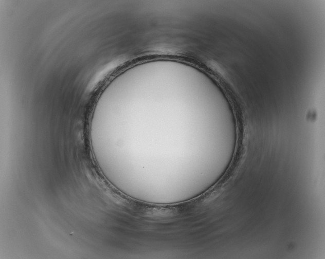 X0000112871307200909111523