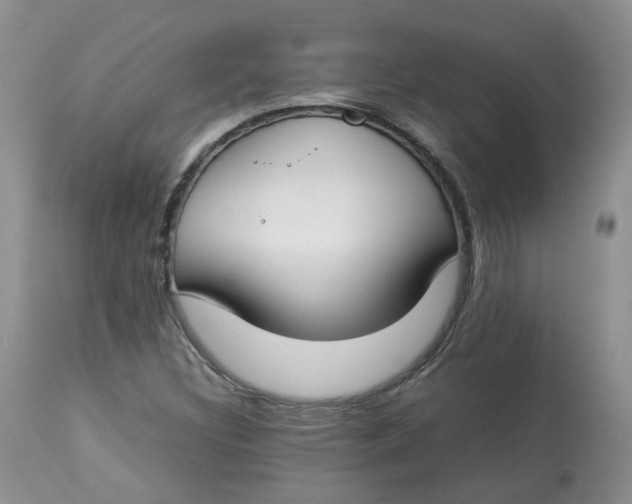 X0000112871308200909111523