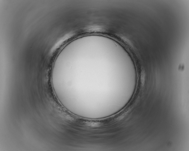 X0000112871309200909111523