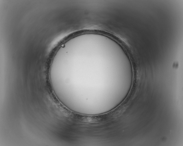 X0000112871311200909111523