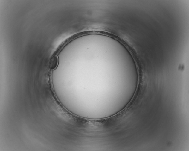 X0000112871312200909111523