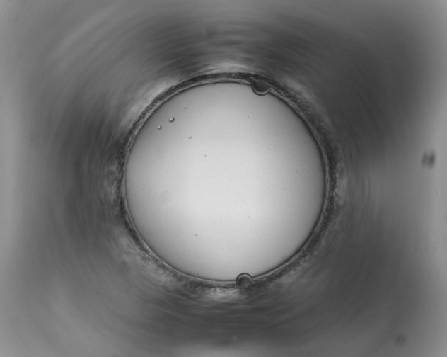 X0000112871313200909111523