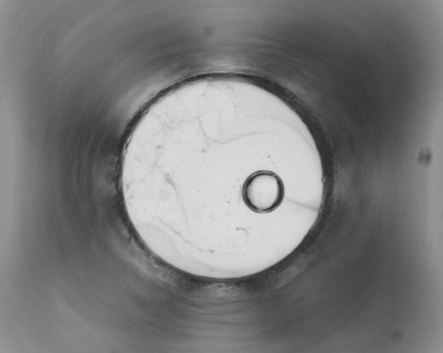 X0000112871314200909111523