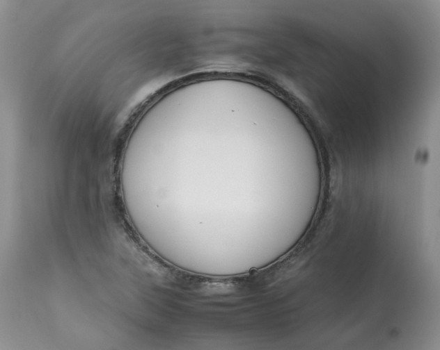 X0000112871315200909111523