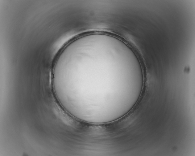 X0000112871320200909111523