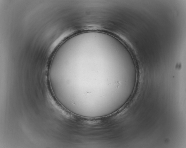 X0000112871325200909111523