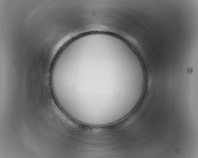 X0000112871326200909111523