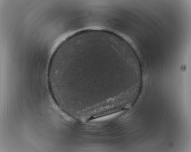 X0000112871327200909111523