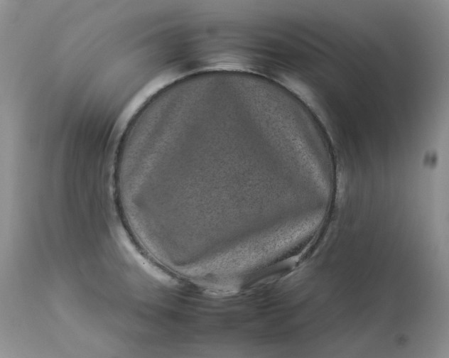 X0000112871331200909111524