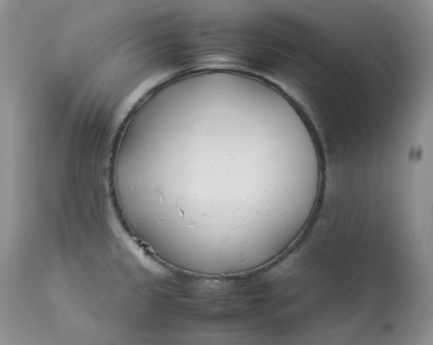 X0000112871333200909111524