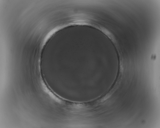 X0000112871334200909111524