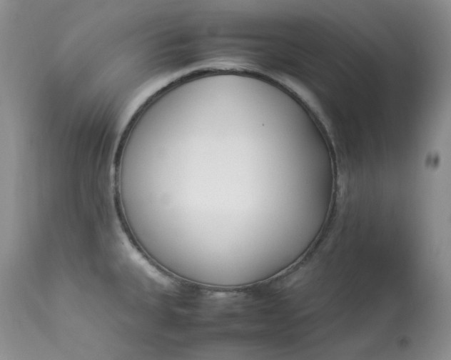 X0000112871335200909111524