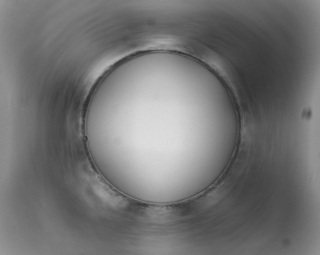 X0000112871336200909111524