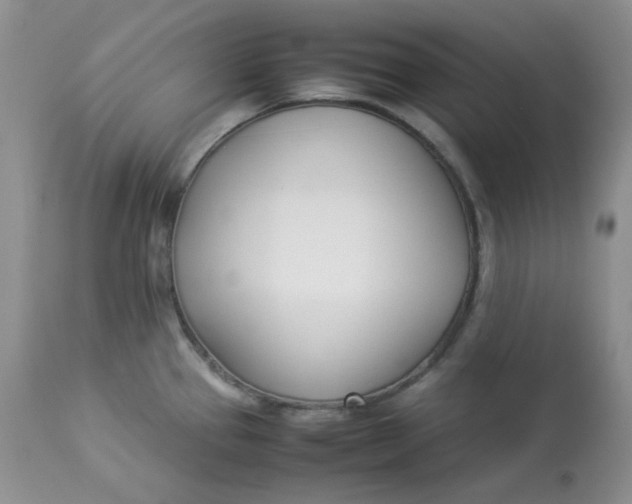 X0000112871337200909111524