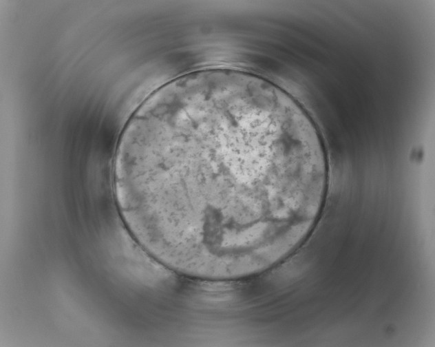 X0000112871338200909111524