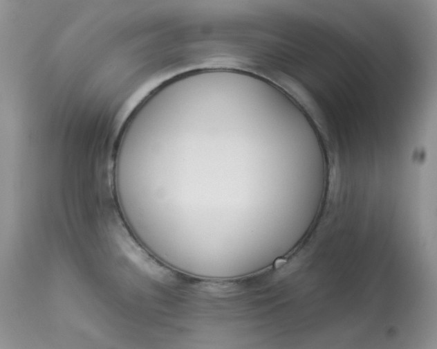 X0000112871340200909111524