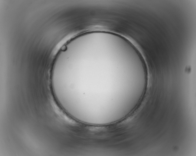 X0000112871341200909111524