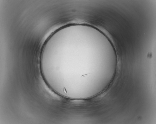 X0000112871343200909111524