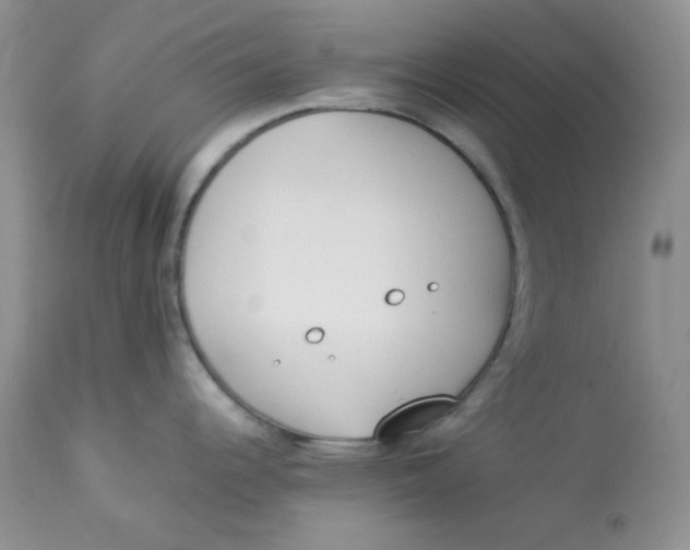 X0000112871344200909111524