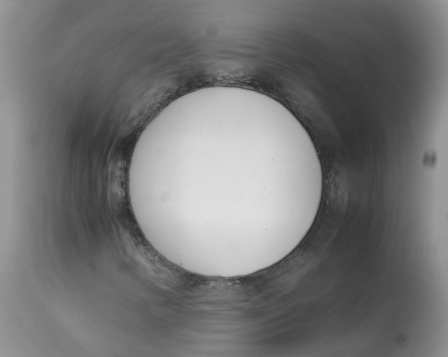 X0000112871346200909111523